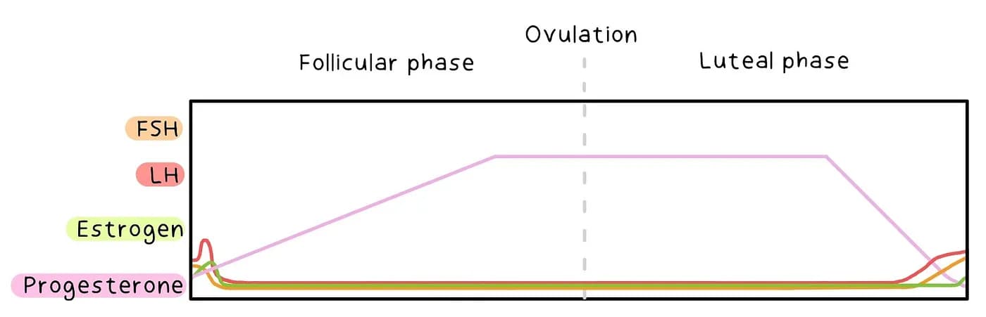 Hormonal Changes Contraceptive