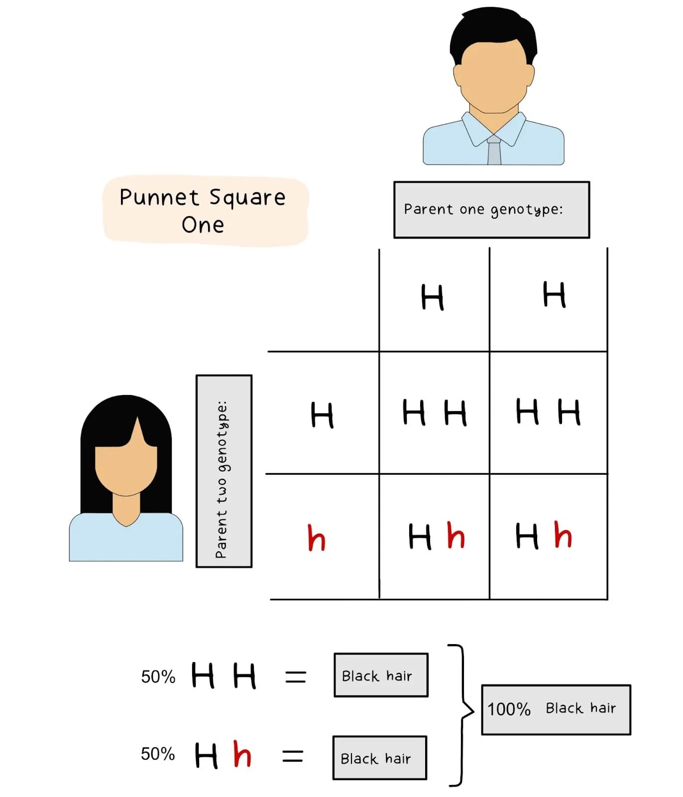 Punnet Square 1