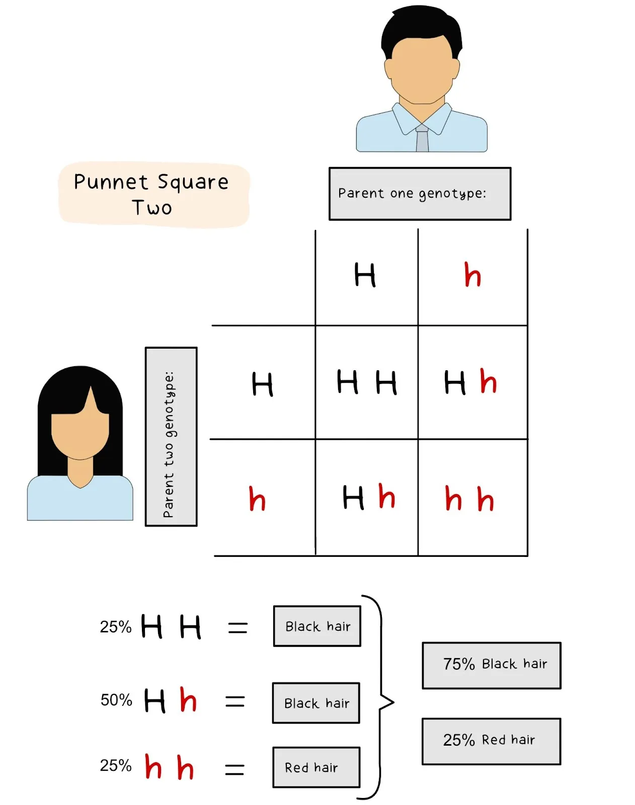Punnet Square 1