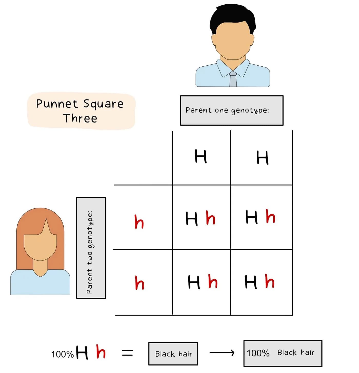Punnet Square 1