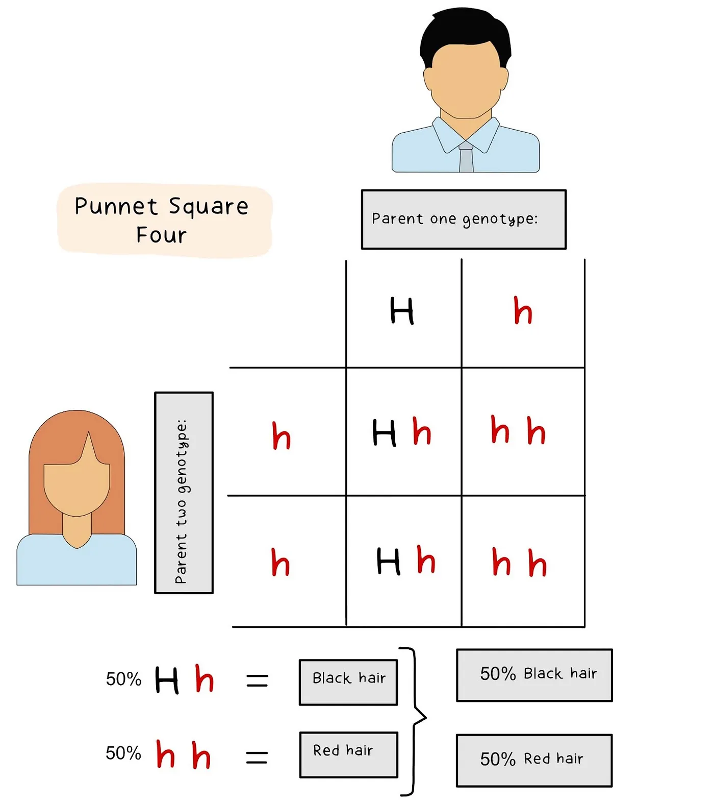 Punnet Square 1