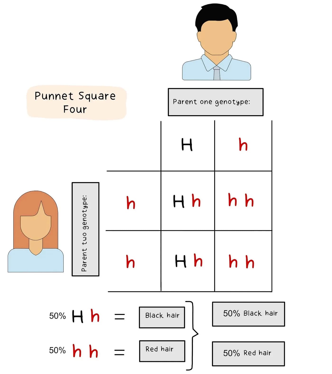 Punnet Square 1