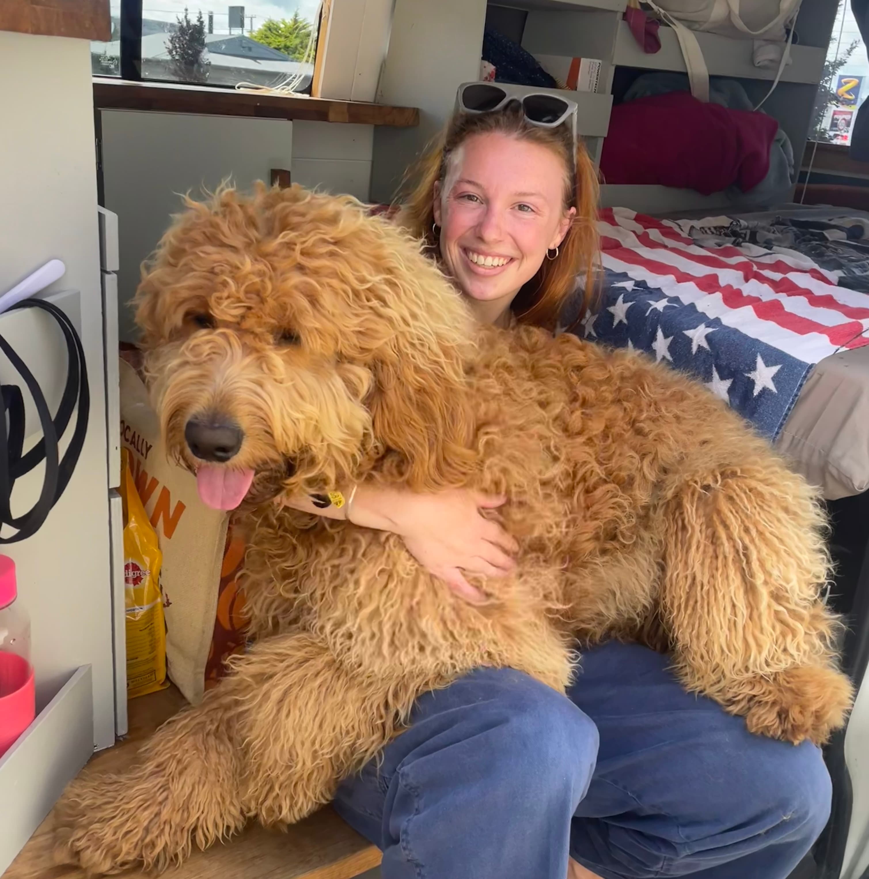 Rudy the dog as big as a horse