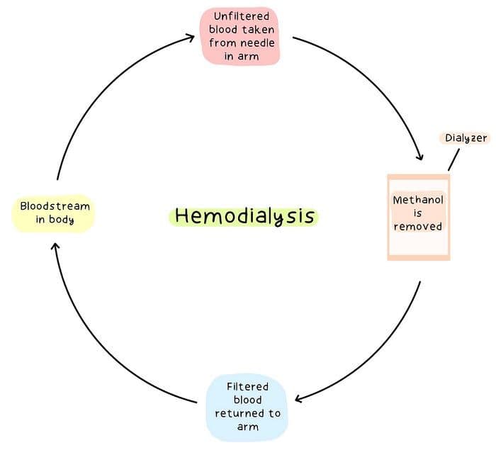 The process of haemodialysis
